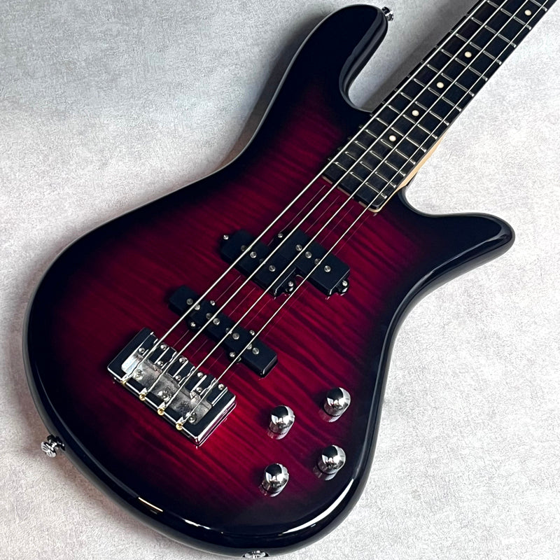 Spector Legend 4 Standard【加古川店】