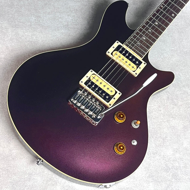 ESP Potbelly TR Custom Color【加古川店】