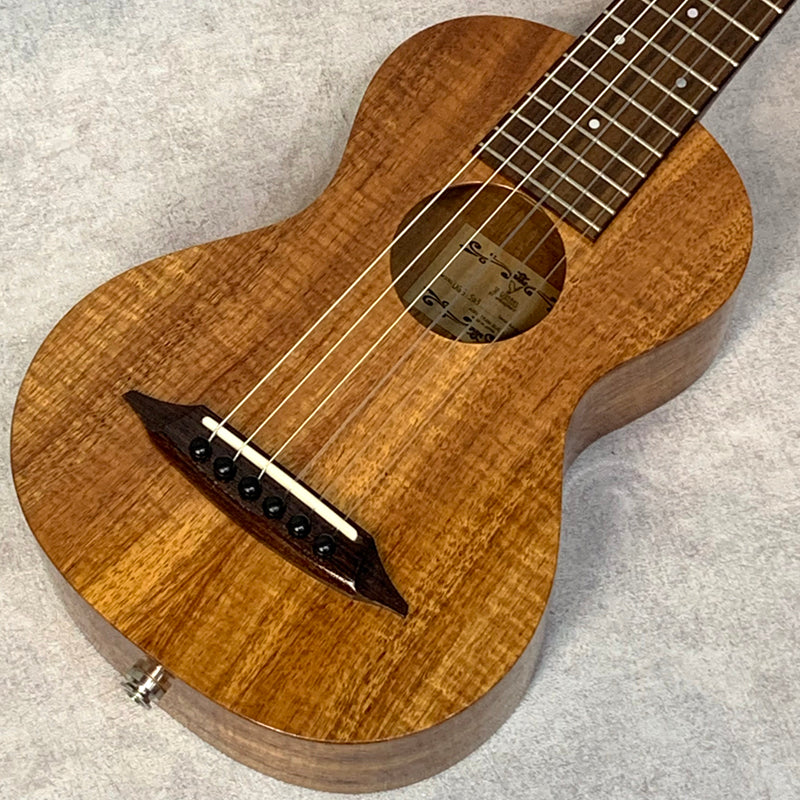 SH Guitars UGS-503P 【加古川店】
