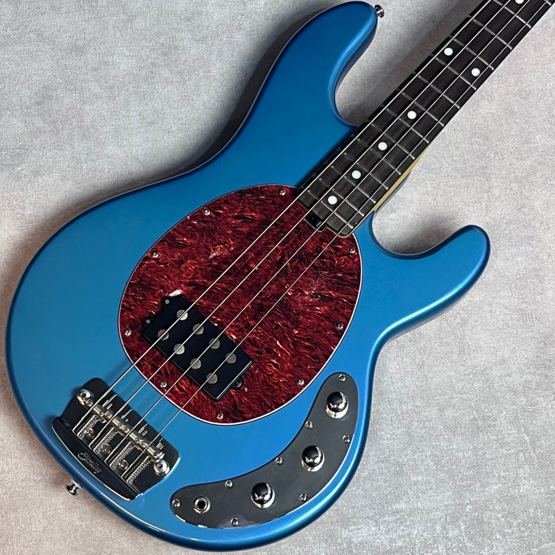 Sterling by MUSIC MAN RAY24【加古川店】