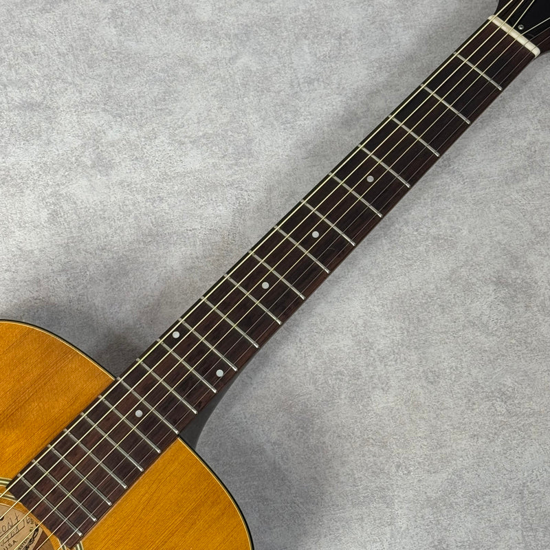 GUILD 1976 F-20 【加古川店】