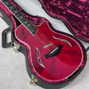 Taylor T5z Pro【加古川店】