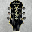 Aria Pro II PE-200-YBS【加古川店】