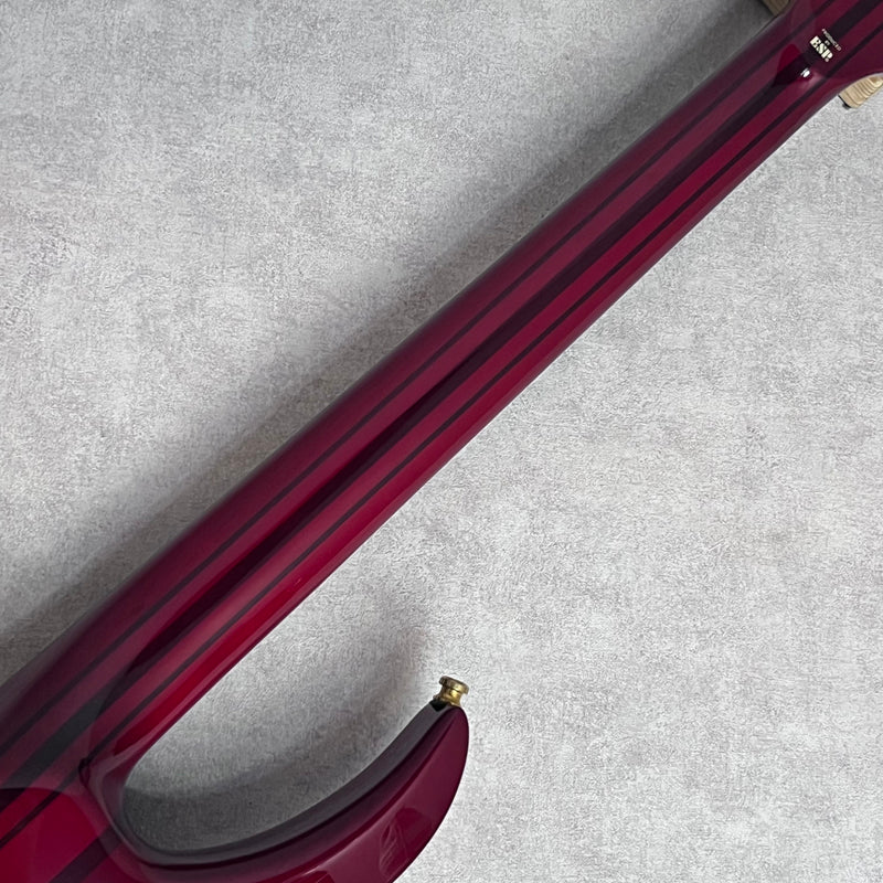 Edwards E-AN-137FR EMG Mod【加古川店】