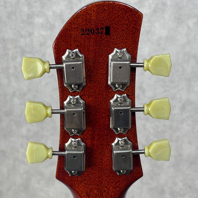 Bizen Works Burned Standard Sunburst【加古川店】