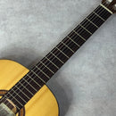 Orpheus Valley Guitars Fiesta FS