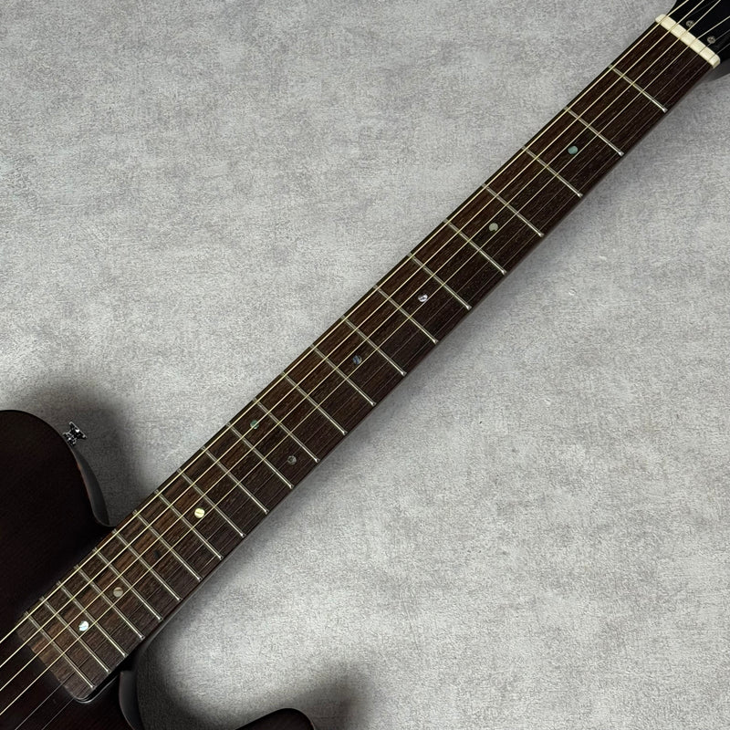 Schecter OL-FL 【加古川店】