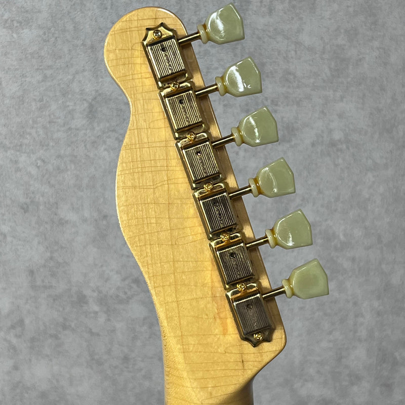 BRUNO TN-295 Pelham Blue 【加古川店】