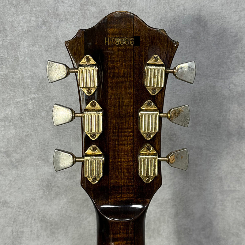 Greco SV-800 【加古川店】