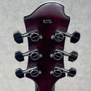 Zemaitis THE PORTRAIT Metal Front HISASHI Signature model Natural【加古川店】