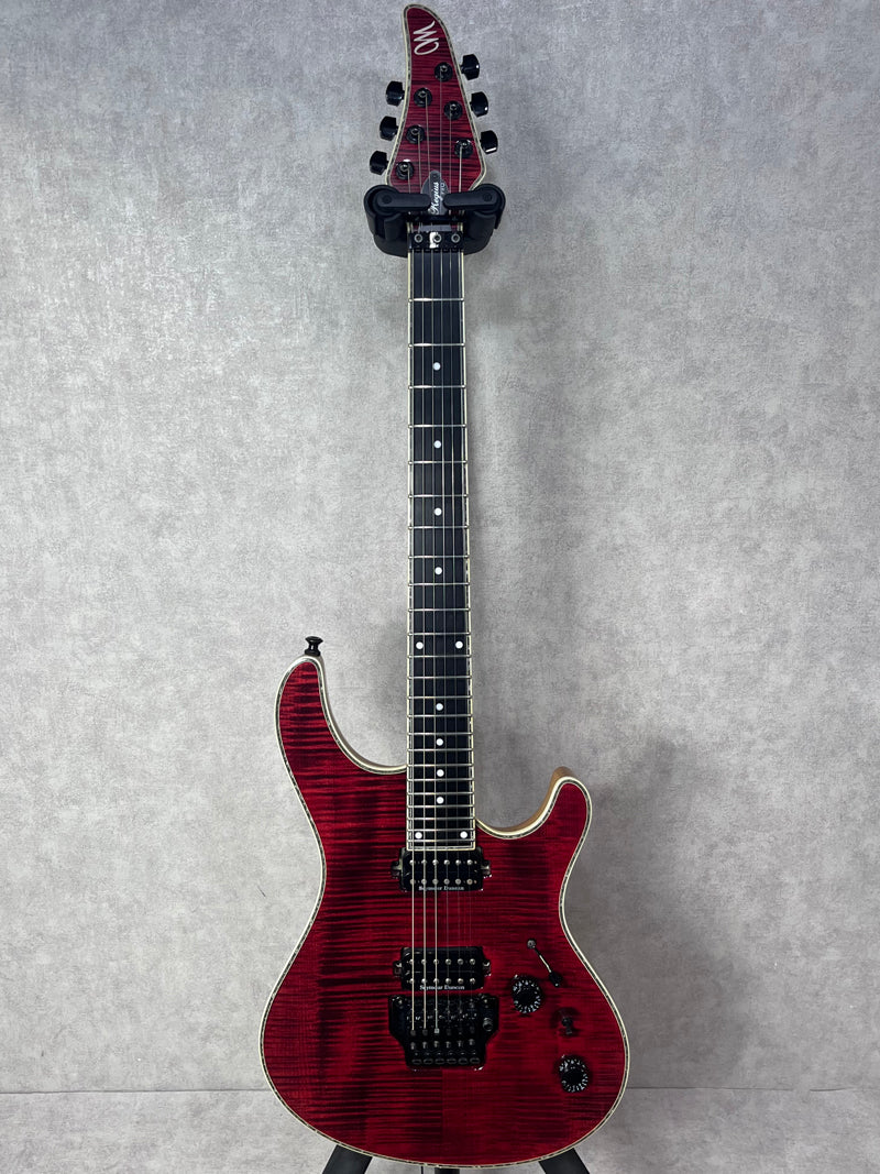 MAYONES Regius Pro 6【加古川店】