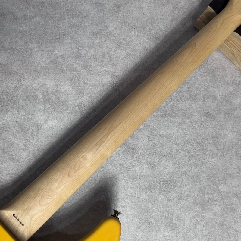 ATELIER Z KenKen Model mini Bass Buddy of Life【加古川店】