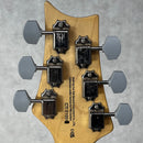 Paul Reed Smith(PRS) SE Silver Sky 【加古川店】