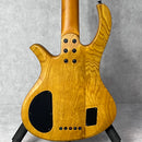 Schecter Riot 5 Session 2023年製【加古川店】