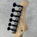 FUJIGEN(FGN) PJMY-ASH-E/TB/01【加古川店】