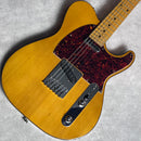 FUJIGEN(FGN) Custom Shop Spruce/Hondurus Mahogany-TT (GH-T2）【加古川店】