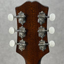 【新品】 KING SNAKE Dizzy Sunburst【加古川店】
