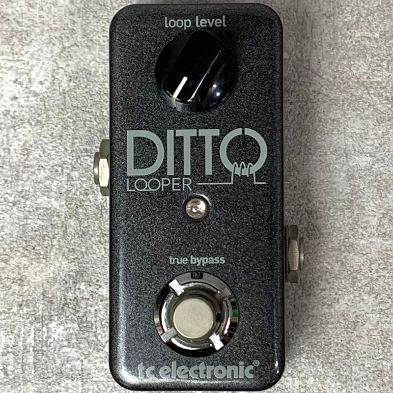 tc electronic Ditto Looper【加古川店】