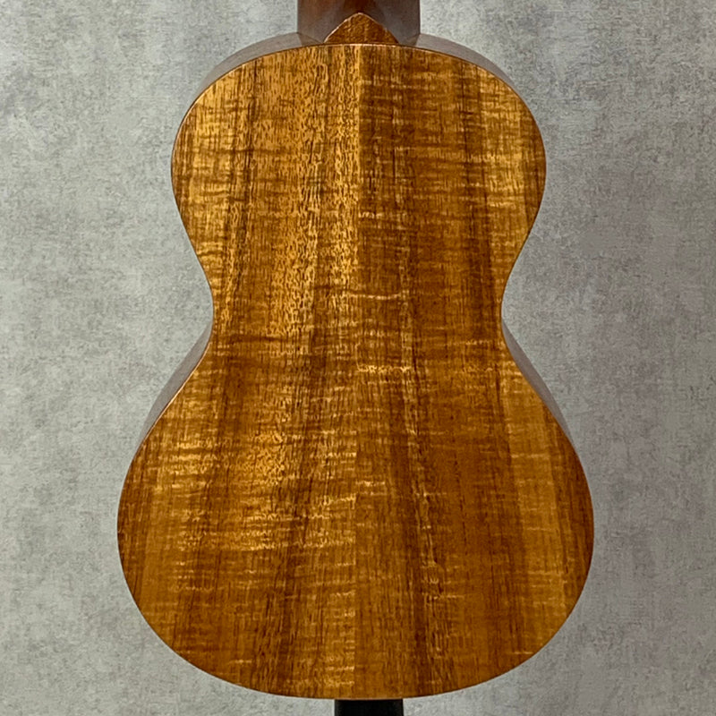 SH Guitars UGS-503P 【加古川店】
