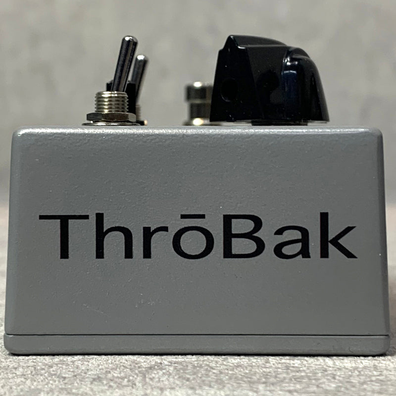 ﻿ThroBak Electronics Strange Master【加古川店】
